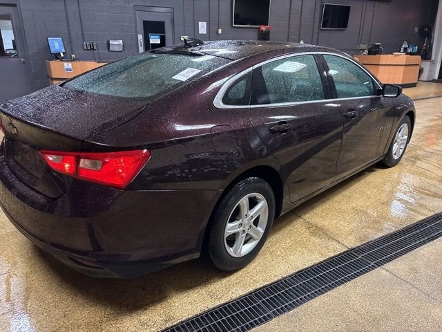 2021 Chevrolet Malibu LS