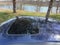 2008 Honda Accord Sdn EX-L