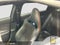 2024 Hyundai Elantra N Base