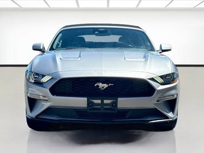 2023 Ford Mustang EcoBoost Premium Convertible