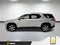 2019 Chevrolet Traverse LT True North